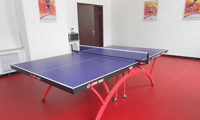 乒乓球室专用地板胶经销商如何选代理品牌